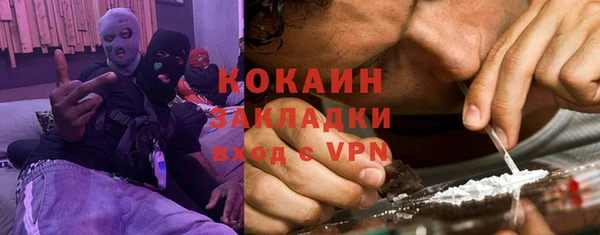 бошки Пересвет