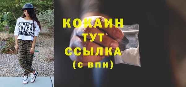 бошки Пересвет