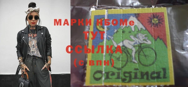 бошки Пересвет