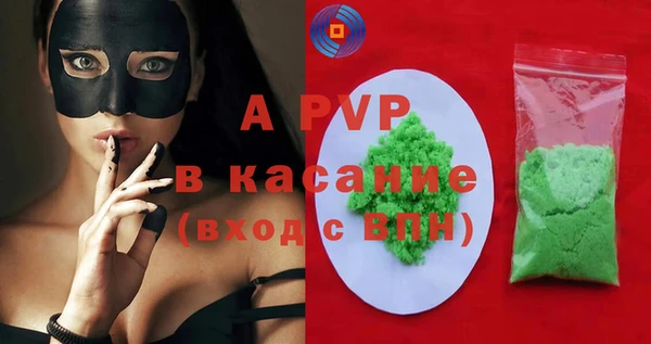бошки Пересвет