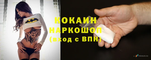 бошки Пересвет