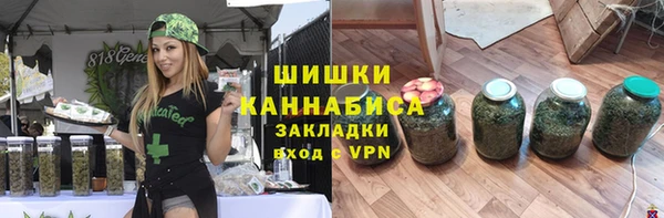 бошки Пересвет