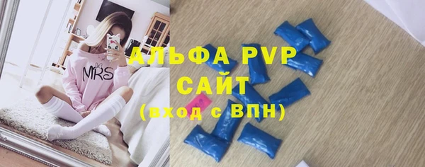бошки Пересвет
